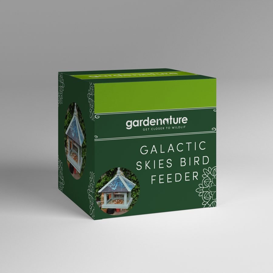 Bird Feeder
